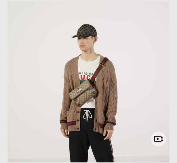 gucci Supreme canvas waist bag crossbody bag tiger head bag model number 4939309C2VT8745 - Image 3