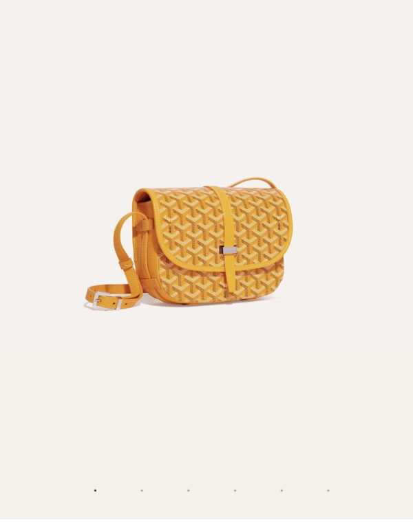Goyard The Elegance of Leather Monogram Canvas Bags Crossbody Bags for Women - Image 6