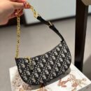 Dior moon bag